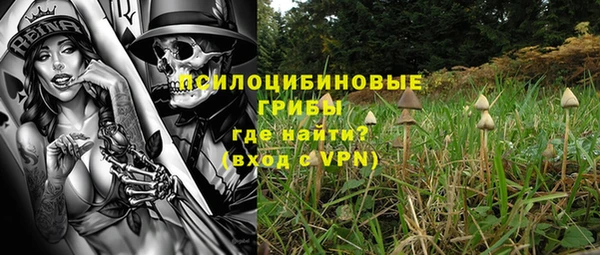 индика Дмитров