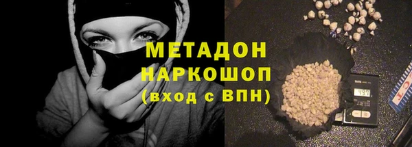 индика Дмитров