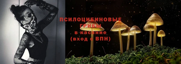 индика Дмитров