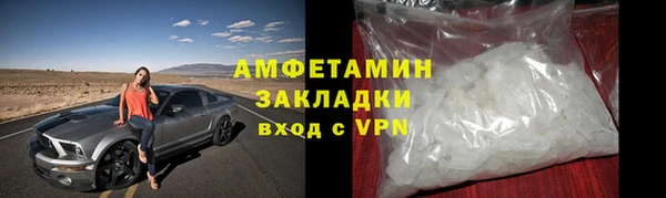 индика Дмитров