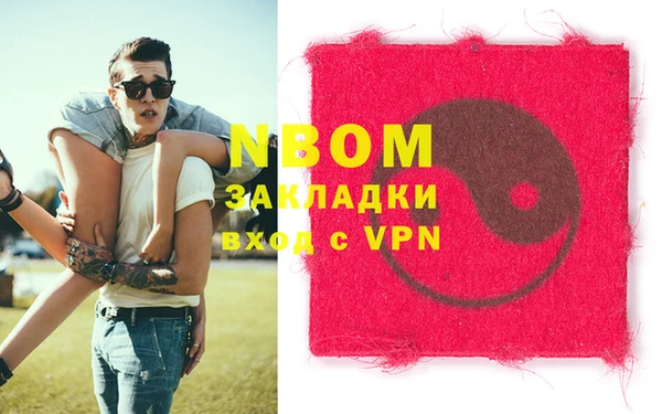 индика Дмитров