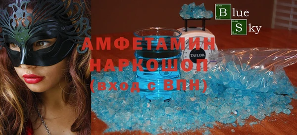 индика Дмитров