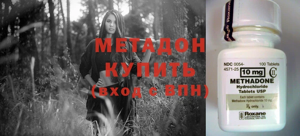 индика Дмитров