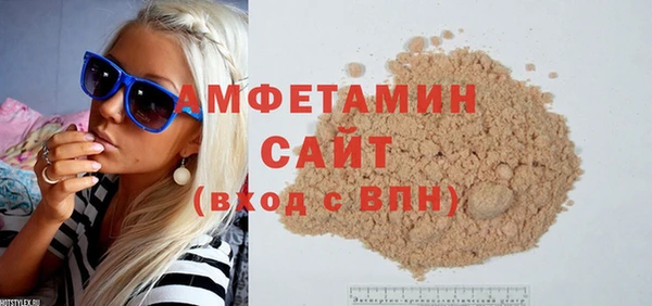 индика Дмитров