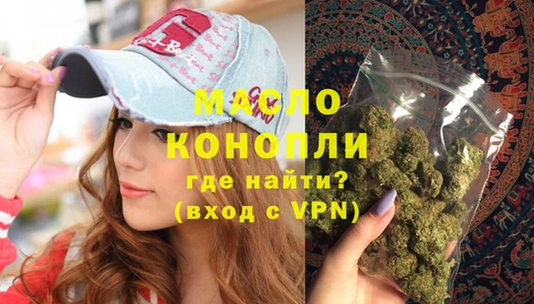 индика Дмитров