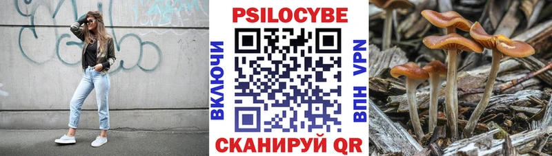 Псилоцибиновые грибы ЛСД  Купить закладки  Харовск 